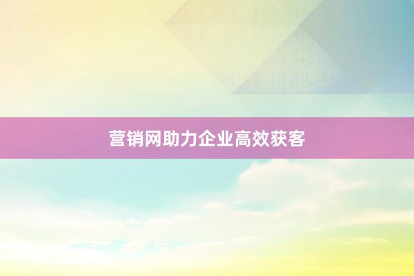营销网助力企业高效获客